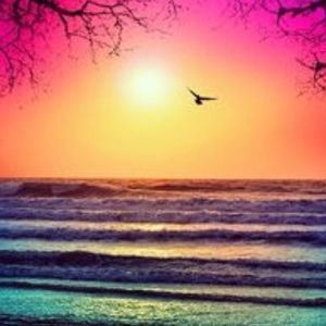 Meet your Posher, Alison